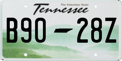 TN license plate B9028Z