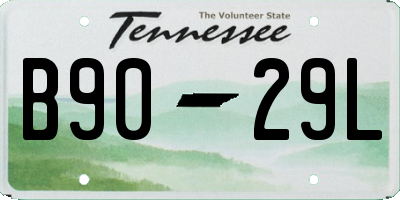 TN license plate B9029L