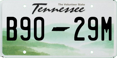 TN license plate B9029M