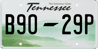 TN license plate B9029P