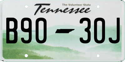 TN license plate B9030J