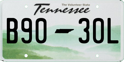 TN license plate B9030L