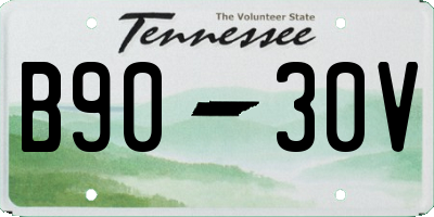 TN license plate B9030V