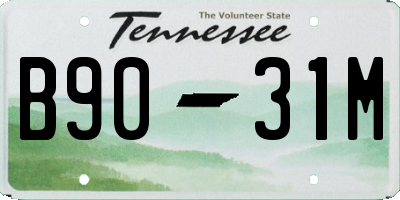 TN license plate B9031M