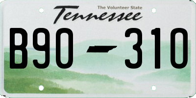 TN license plate B9031O