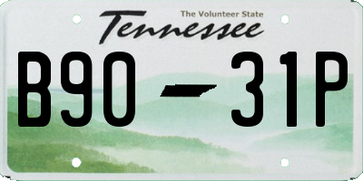 TN license plate B9031P