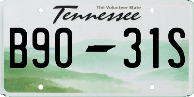 TN license plate B9031S