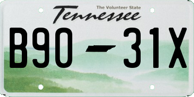 TN license plate B9031X