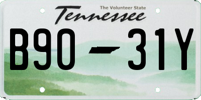 TN license plate B9031Y