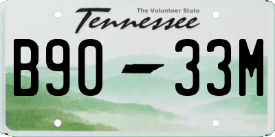 TN license plate B9033M