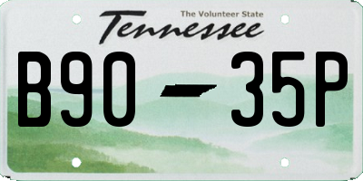 TN license plate B9035P