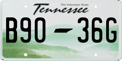 TN license plate B9036G