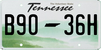 TN license plate B9036H