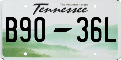 TN license plate B9036L
