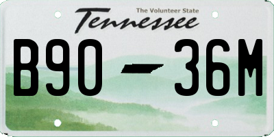 TN license plate B9036M