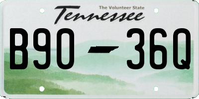 TN license plate B9036Q