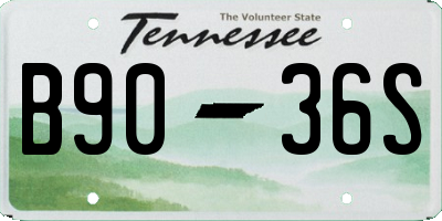 TN license plate B9036S