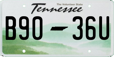 TN license plate B9036U