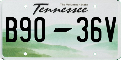 TN license plate B9036V