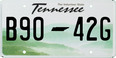 TN license plate B9042G
