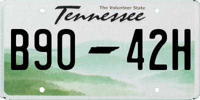 TN license plate B9042H