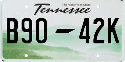 TN license plate B9042K