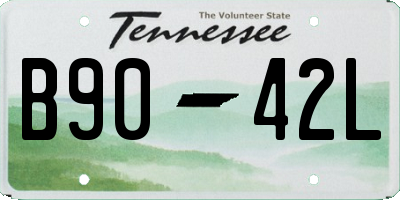 TN license plate B9042L