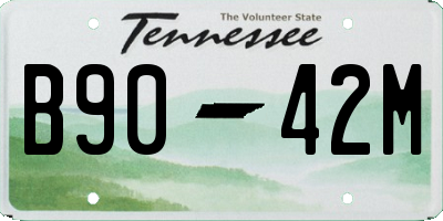 TN license plate B9042M
