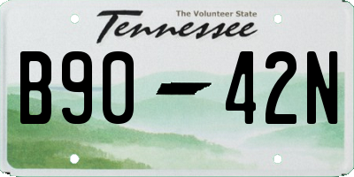 TN license plate B9042N