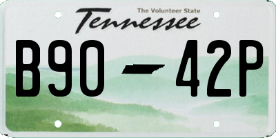 TN license plate B9042P