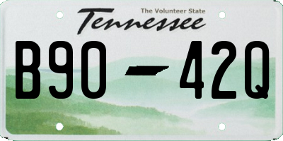 TN license plate B9042Q