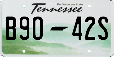 TN license plate B9042S