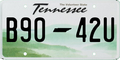 TN license plate B9042U
