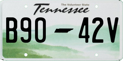 TN license plate B9042V