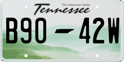 TN license plate B9042W