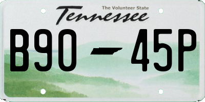 TN license plate B9045P