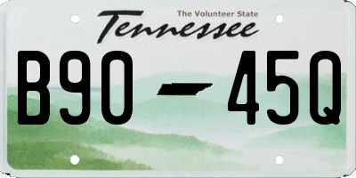 TN license plate B9045Q