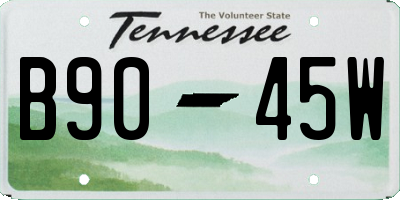 TN license plate B9045W