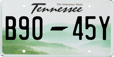 TN license plate B9045Y