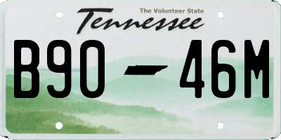 TN license plate B9046M