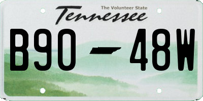 TN license plate B9048W