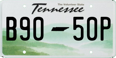 TN license plate B9050P