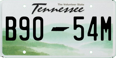 TN license plate B9054M