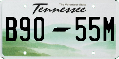TN license plate B9055M