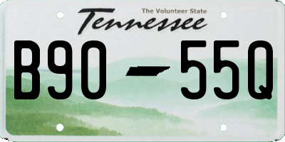 TN license plate B9055Q