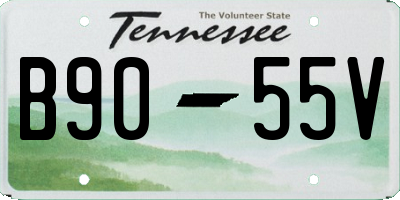 TN license plate B9055V
