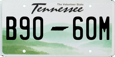 TN license plate B9060M