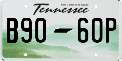 TN license plate B9060P