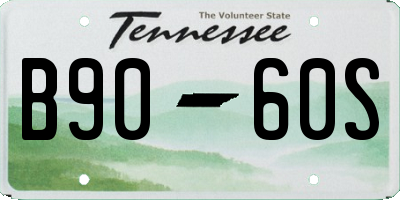 TN license plate B9060S