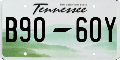 TN license plate B9060Y